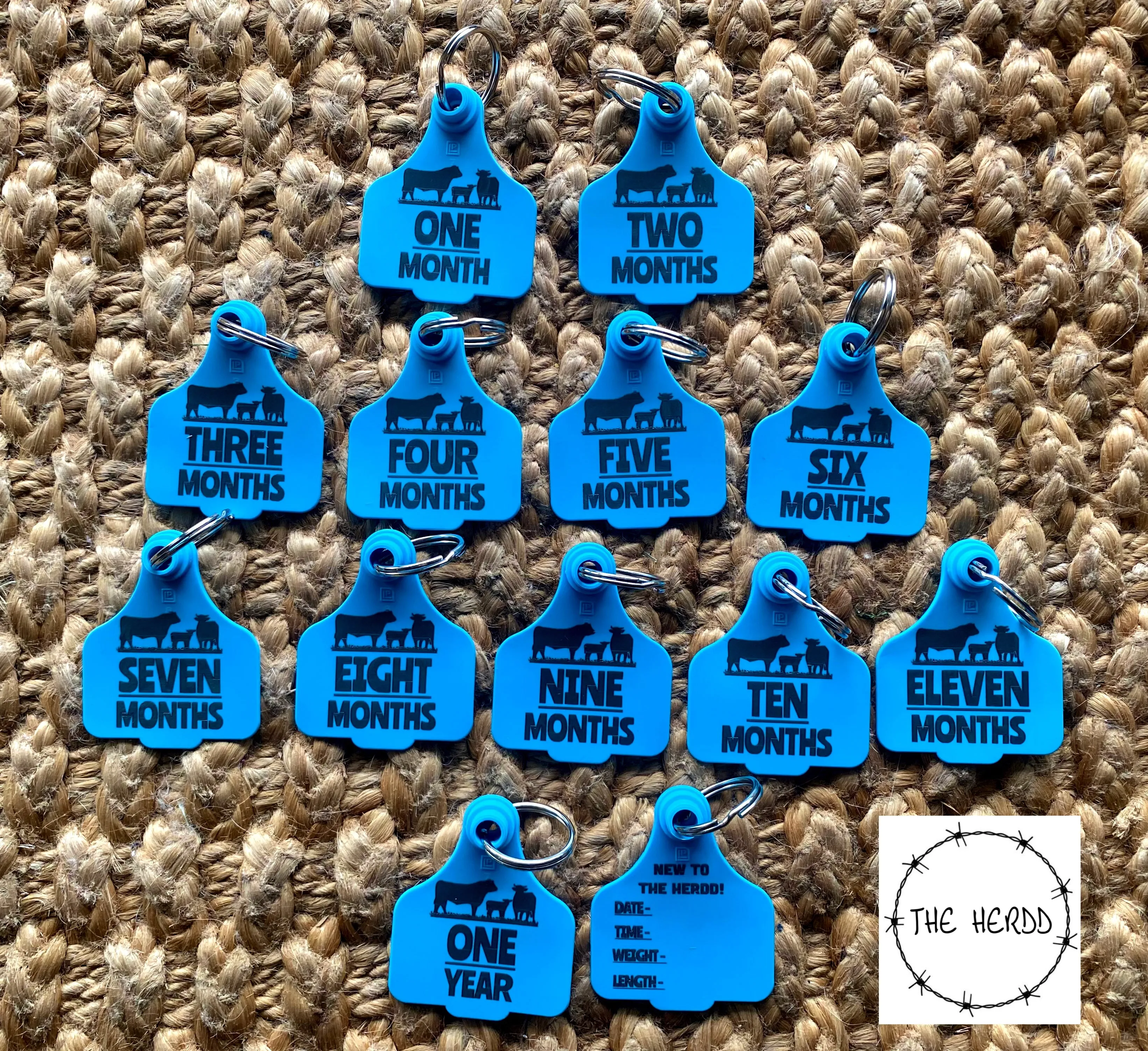 Baby Milestone Tags - Farm Edition