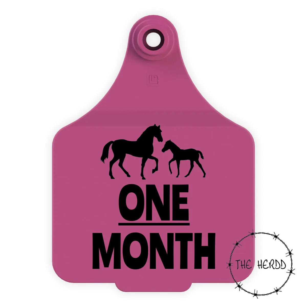 Baby Milestone Tags - Farm Edition