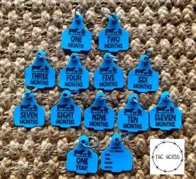 Baby Milestone Tags - Farm Edition