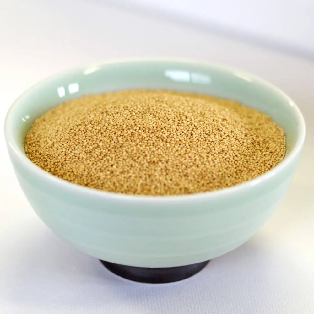 Rainy Day Foods Gluten-Free Non-GMO Amaranth Natural 5 Gallon 37 lbs Super Pail - 180 Servings