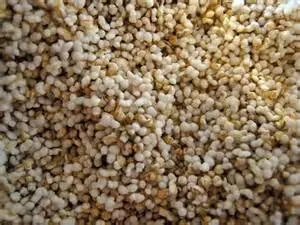 Rainy Day Foods Gluten-Free Non-GMO Amaranth Natural 5 Gallon 37 lbs Super Pail - 180 Servings